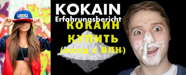 крисы Белокуриха