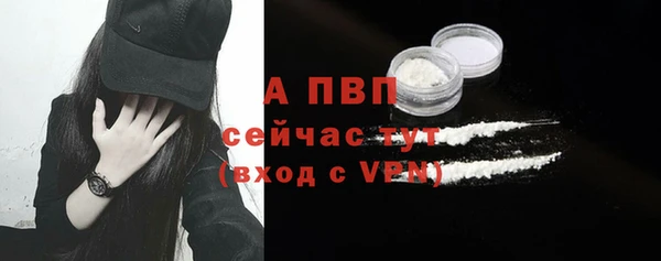 прущие крисы Беломорск