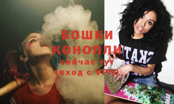 ГАЛЛЮЦИНОГЕННЫЕ ГРИБЫ Белоозёрский
