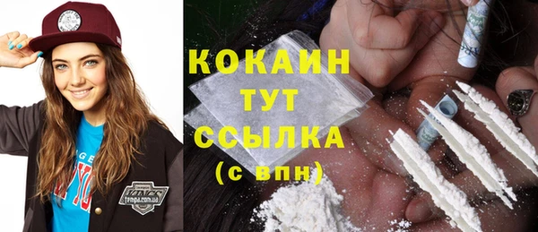 крисы Белокуриха