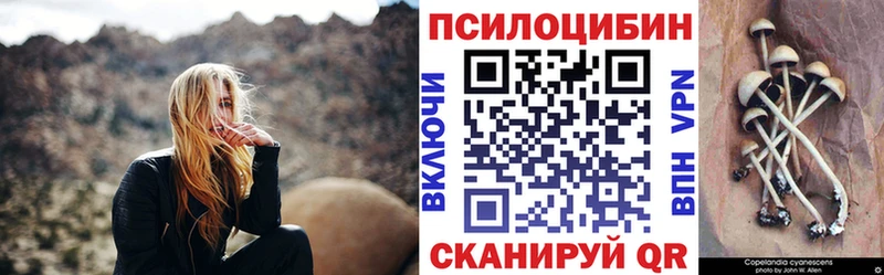 Купить  Будённовск  Галлюциногенные грибы прущие грибы 